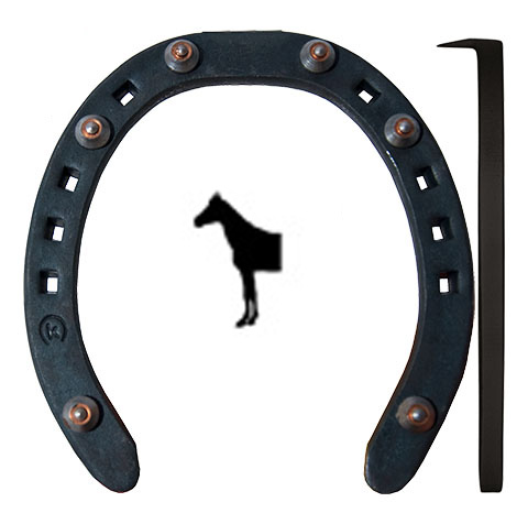 Legend Flat Vinter med Brodd Front med Frontoptå