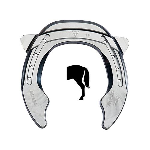 Parabolix Aluminium Bag