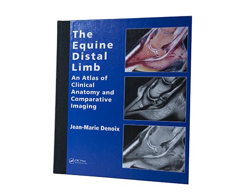 The Equine Distal Limb