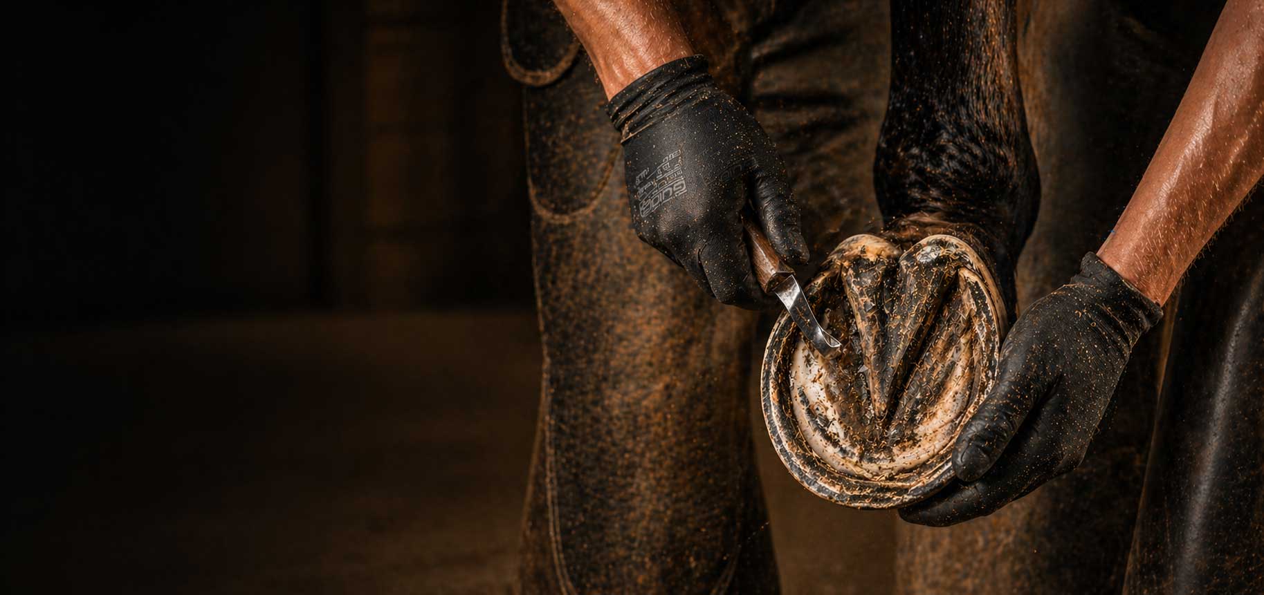 Hovslagare som arbetar med hov på häst med hovkniv