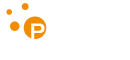 Payson logo
