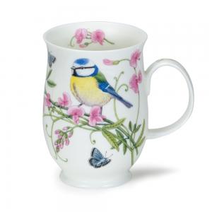 Suffolk Hedgerow Birds Blue Tit