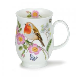 Suffolk Hedgerow Birds Robin