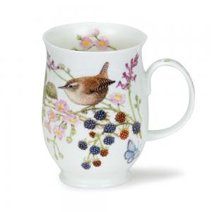 Suffolk Hedgerow Birds Wren