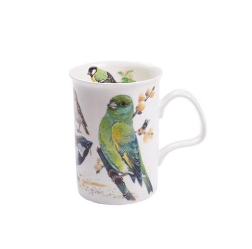 Roy Kirkham Garden Birds Grönfink