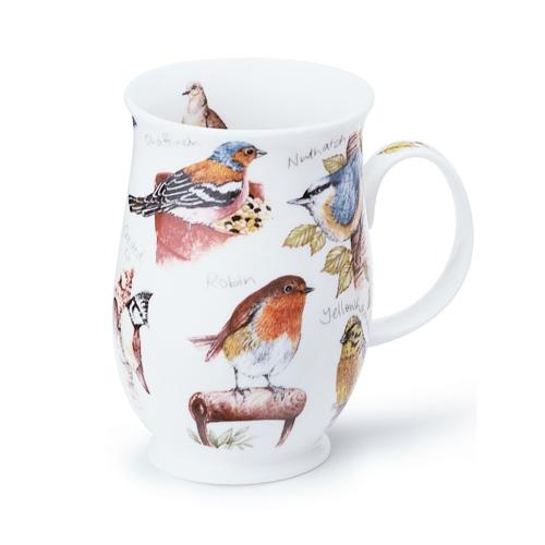 Suffolk Birdlife Robin