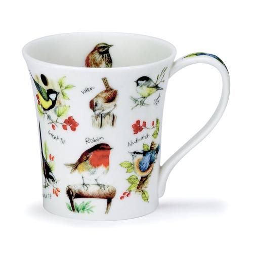Jura Birdlife Robin