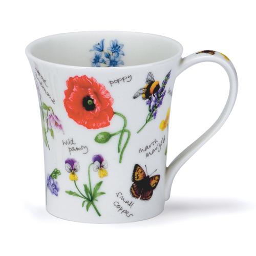 Jura Wayside Poppy