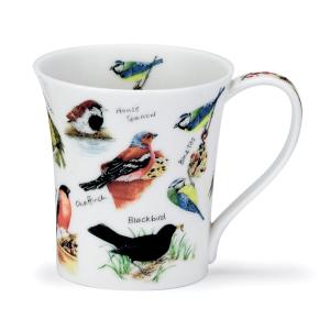Jura Birdlife Blue Tit
