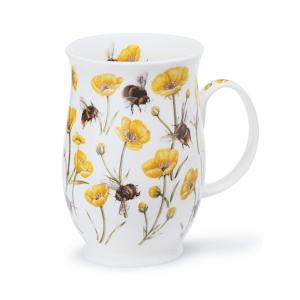 Suffolk Dovedale Buttercup