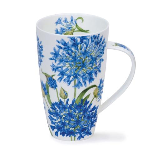 Henley Agapanthus