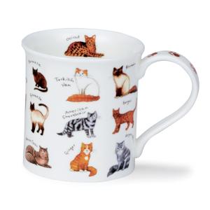 Bute Animal Breeds Cat
