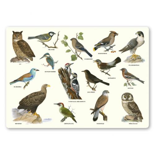 Bordstablett Fåglar
