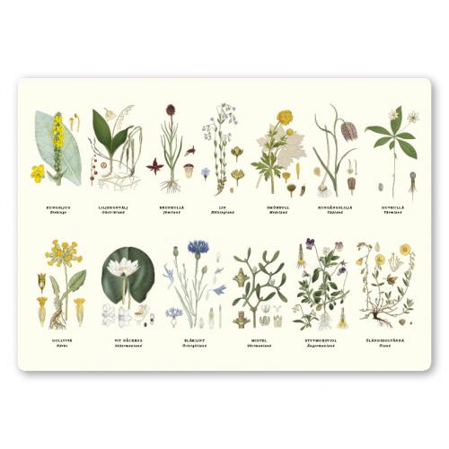 Bordstablett Landskapsblommor