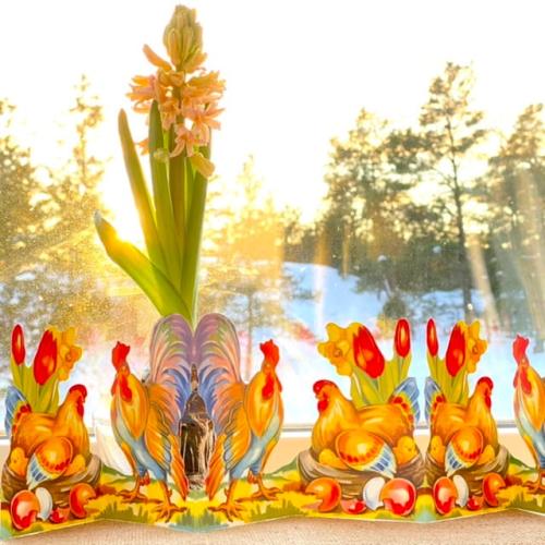 Pappersrad Hönpar 14x68,6cm