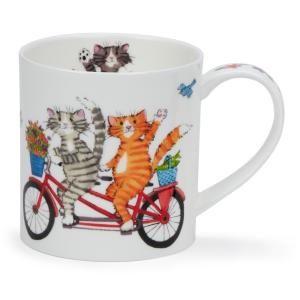 Orkney Happy Days Cat
