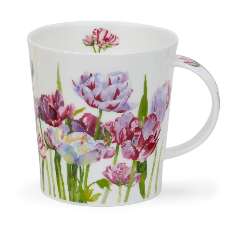 Lomond Floral Dance Tulip