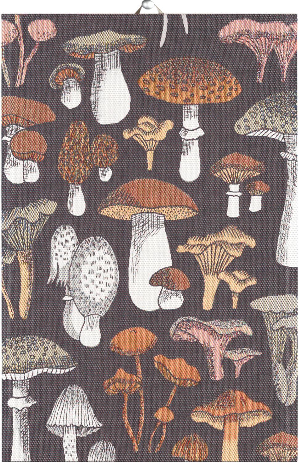 Kökshandduk Svamprik 40x60cm