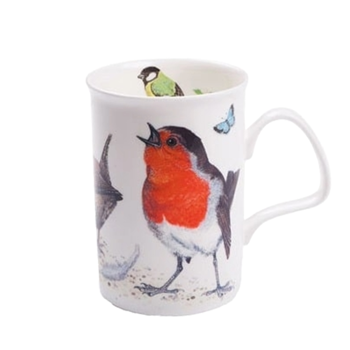 Roy Kirkham Garden Birds Rödhake