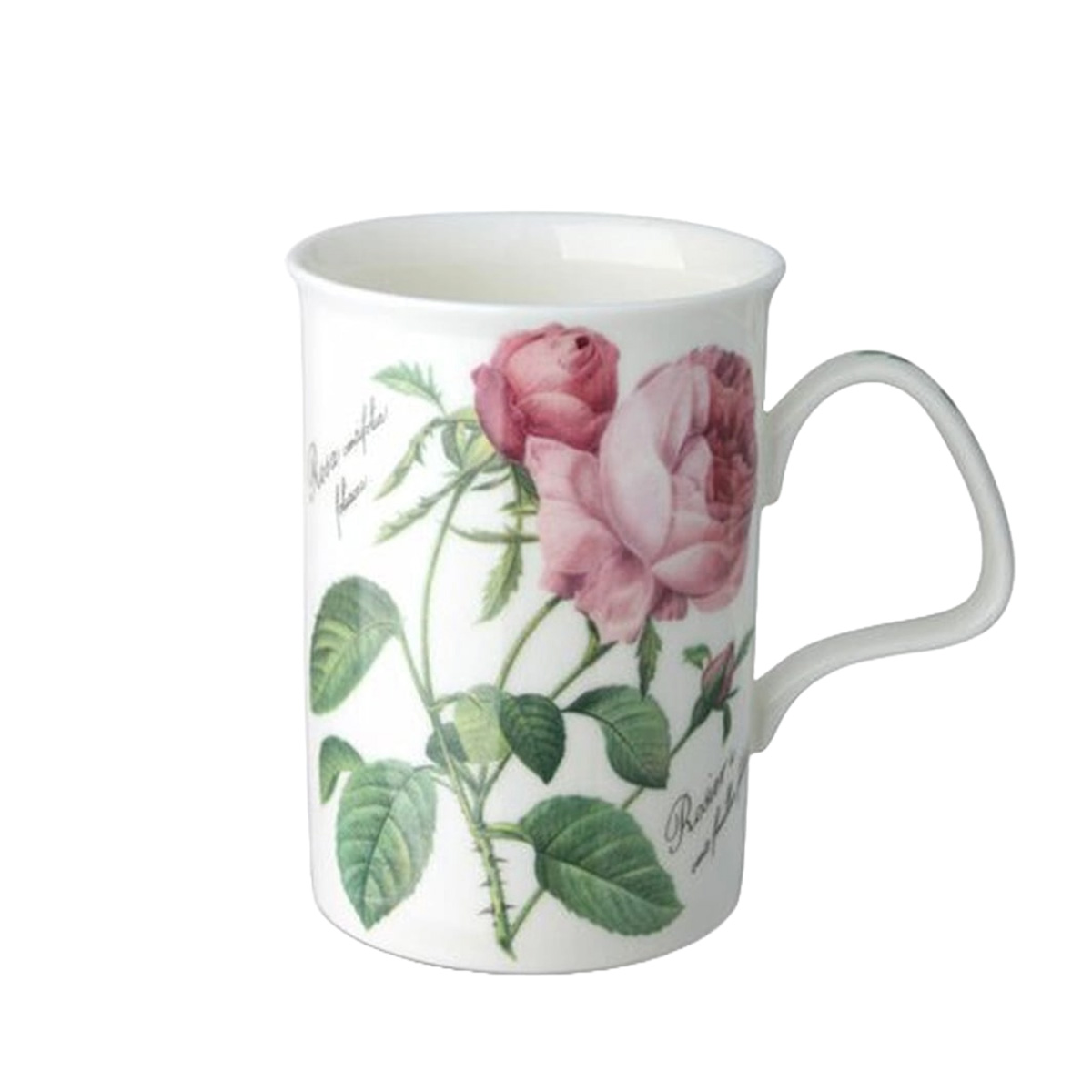 Roy Kirkham Redoute Roses Mugg