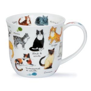 Cumbrae Cat Breeds