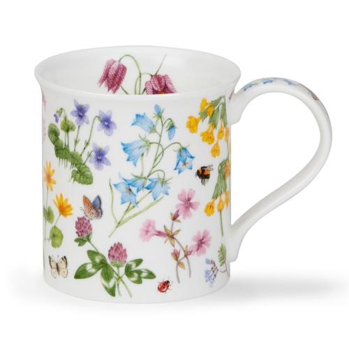 Bute Wild Flowers Harebell