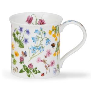 Bute Wild Flowers Harebell