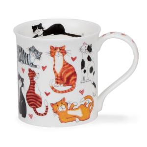 Bute Loveable Cats