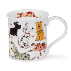 Bute Loveable Dogs