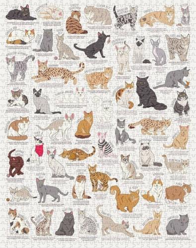 Pussel 1000 bitar Cat Lover´s
