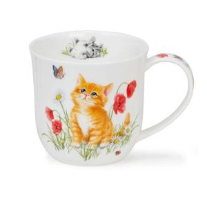 Cumbrae Kittens