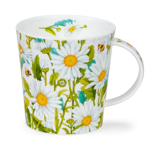 Cairngorm Beautiful Blooms Daisies