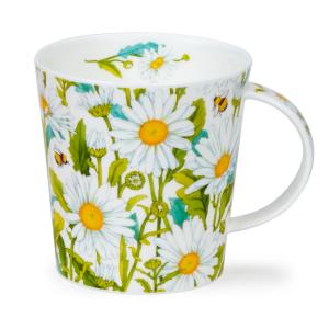Cairngorm Beautiful Blooms Daisies