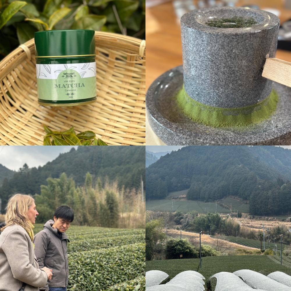 Matcha teets vagga - Wazuka, Kyoto