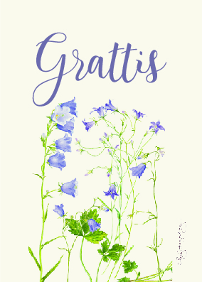 Tevykort Grattis