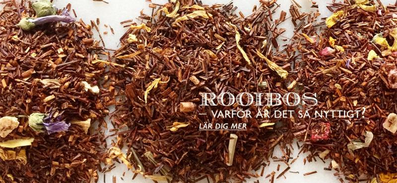 Rooibos - Varför är det så nyttigt?