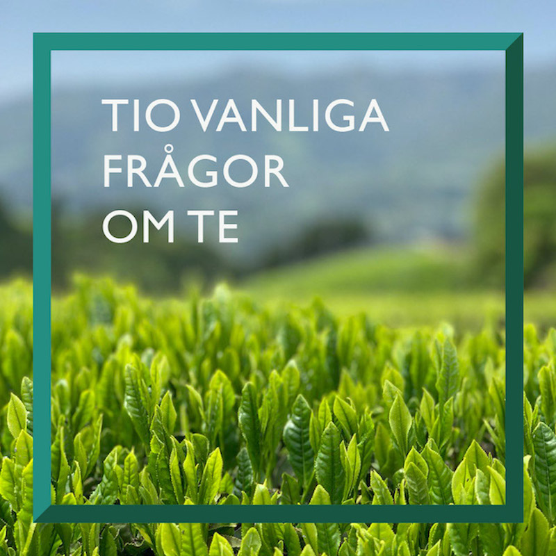 10 vanliga frågor om te