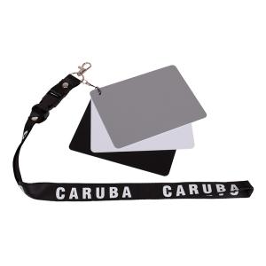 CARUBA DIGITAL GREY CARD DGC2