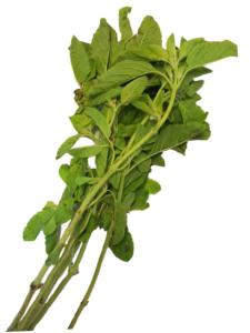 Holy Basil /Starkbasilika 100g