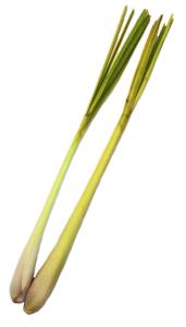 Lemongrass /Citrongräs 100g
