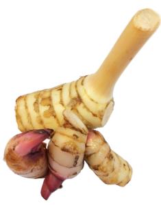 Galangal 100g