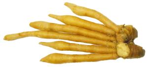 Krachai 100 g