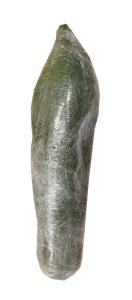 Thai Papaya, per kg