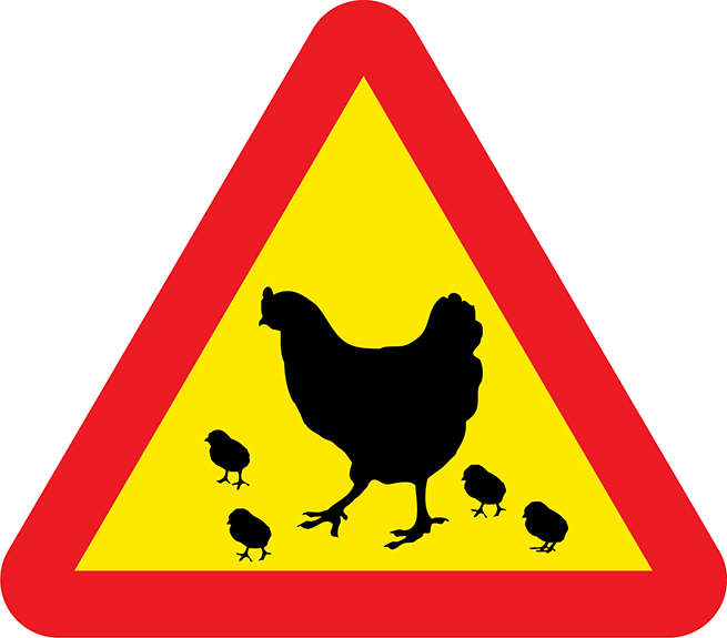 Varningsskylt höna med kycklingar