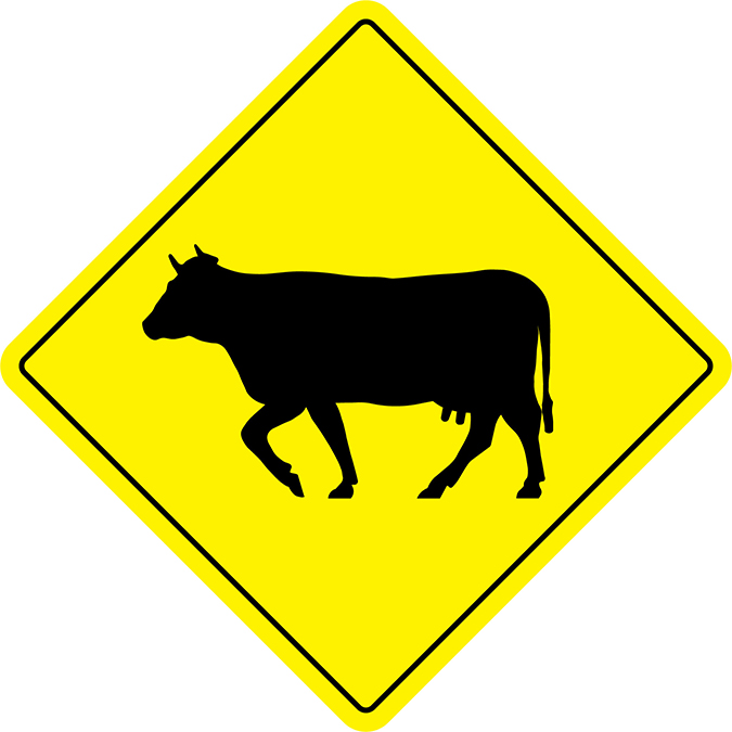 Varningsskylt ko