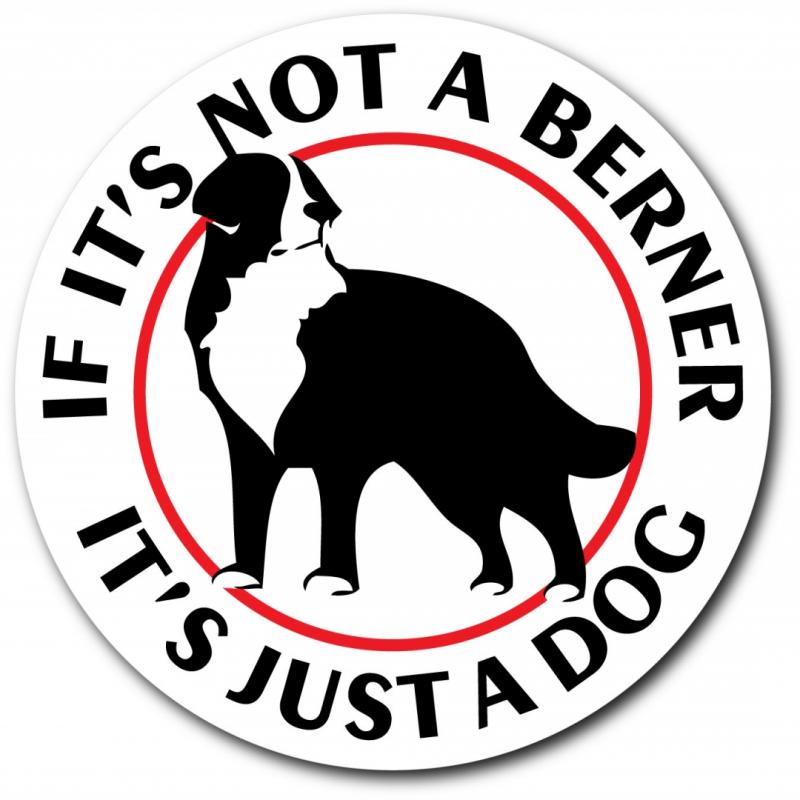 Dekal "If it´s not a berner... It´s just a dog"