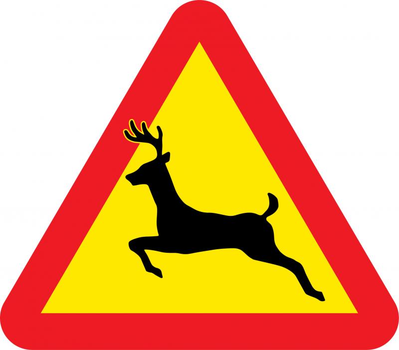 Varningsskylt hjort
