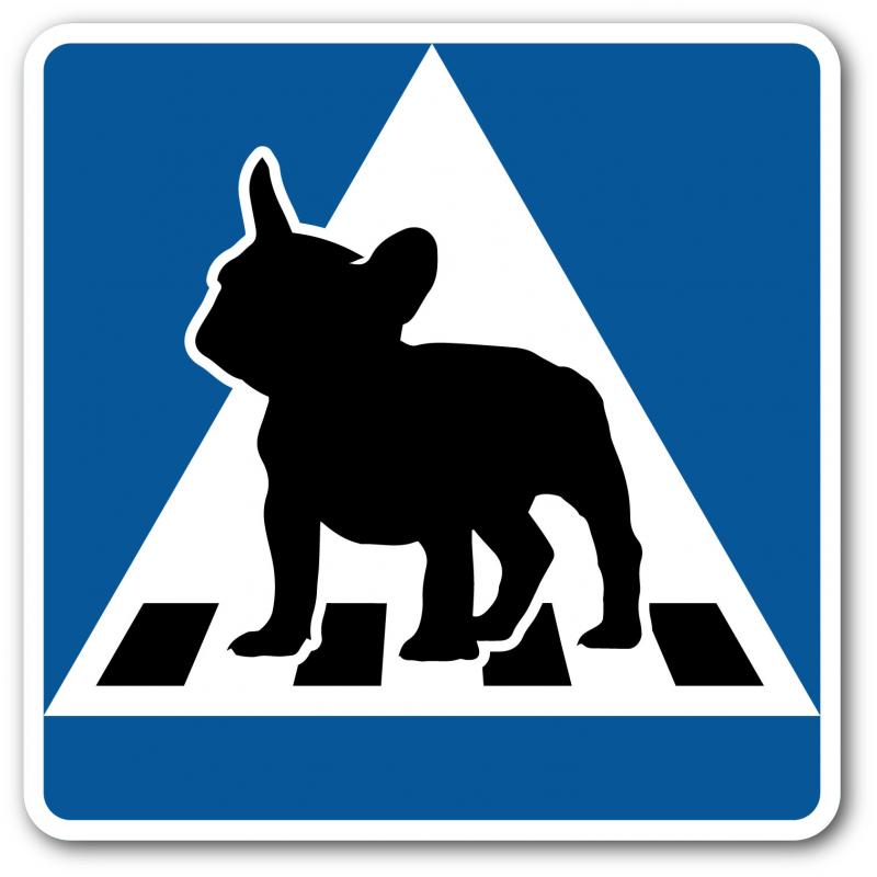 Fransk bulldogg: Övergångsställe