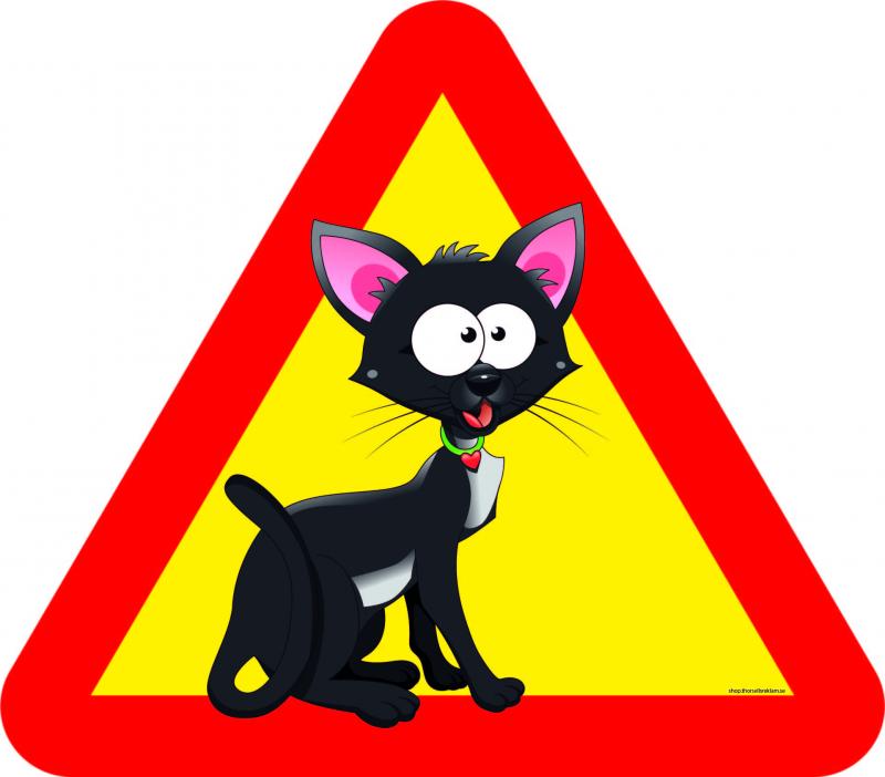 Varningsskylt Katt svart stora ögon