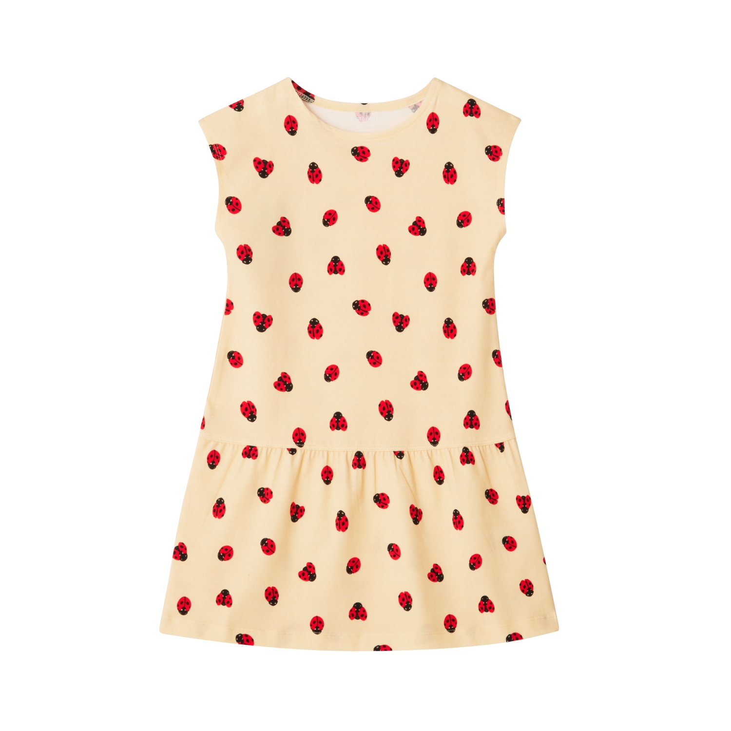 Gaby dress ladybug